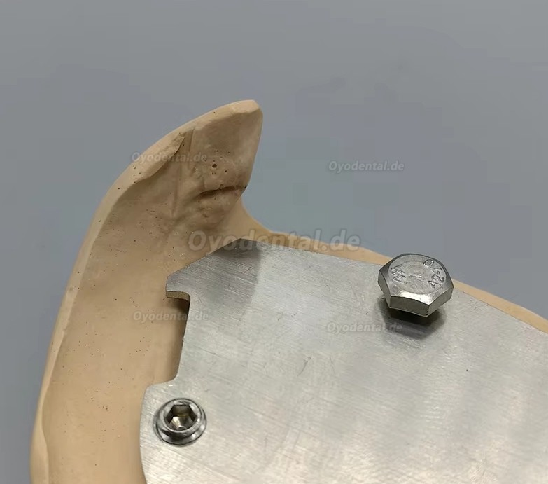 Dental Gothic Arch Tracer Zentrikregistrierer f&uuml;r Zahnlose Patienten Dentallabor